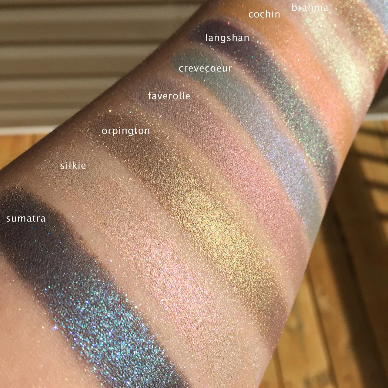 ORPINGTON - EYESHADOW
