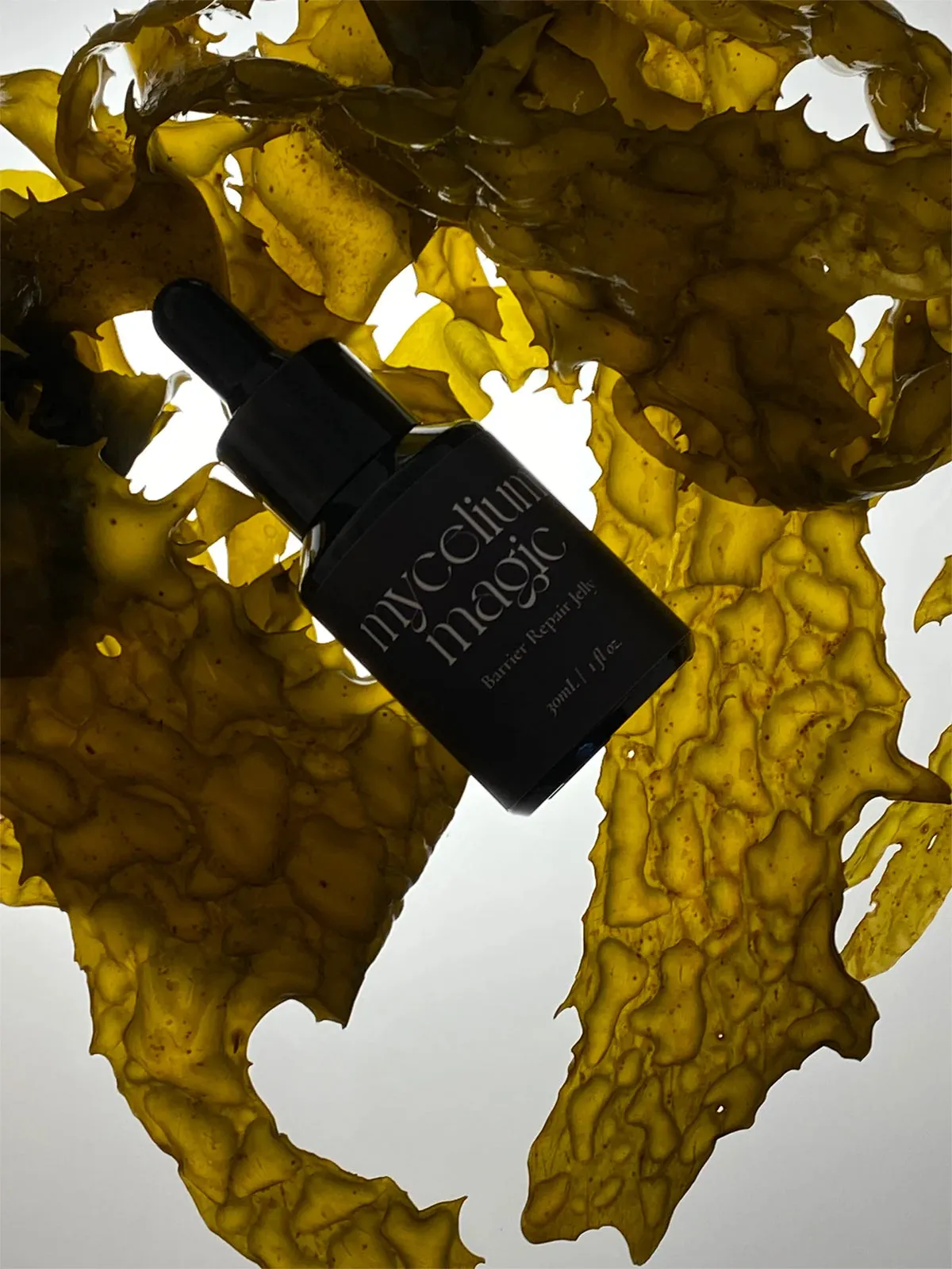 Studium Mycelium Magic Barrier Repair Jelly